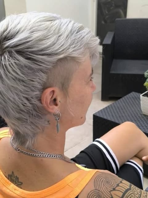 mullet gris